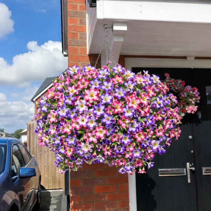 ✨Bring Lasting Color Home with Lifelike UV-Resistant Petunias