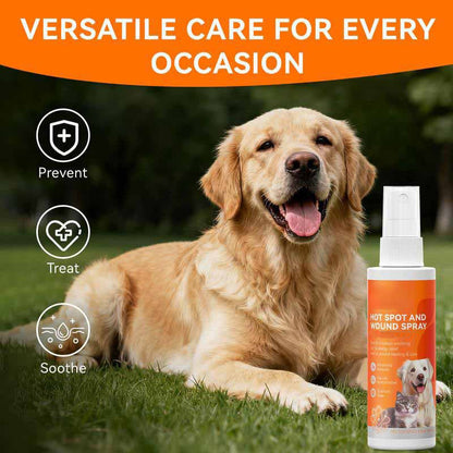 Itch Relief Spray –Vet Recommended Skin Soothing Quantum Silver Spray for Dogs & Cats✨