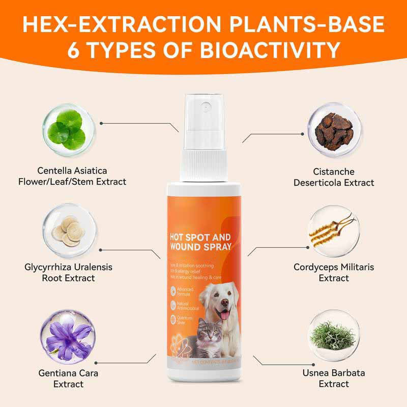 Itch Relief Spray –Vet Recommended Skin Soothing Quantum Silver Spray for Dogs & Cats✨