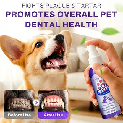 Soulhera™ Advanced Pet Oral Spray | Fresher Breath, Plaque Biofilm & Gum Care — No Brushing