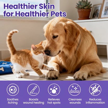 Soulhera® WaxLift Pet Ear Rinse ✨