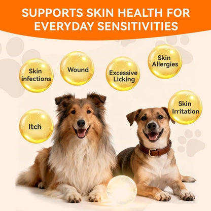 Itch Relief Spray –Vet Recommended Skin Soothing Quantum Silver Spray for Dogs & Cats✨