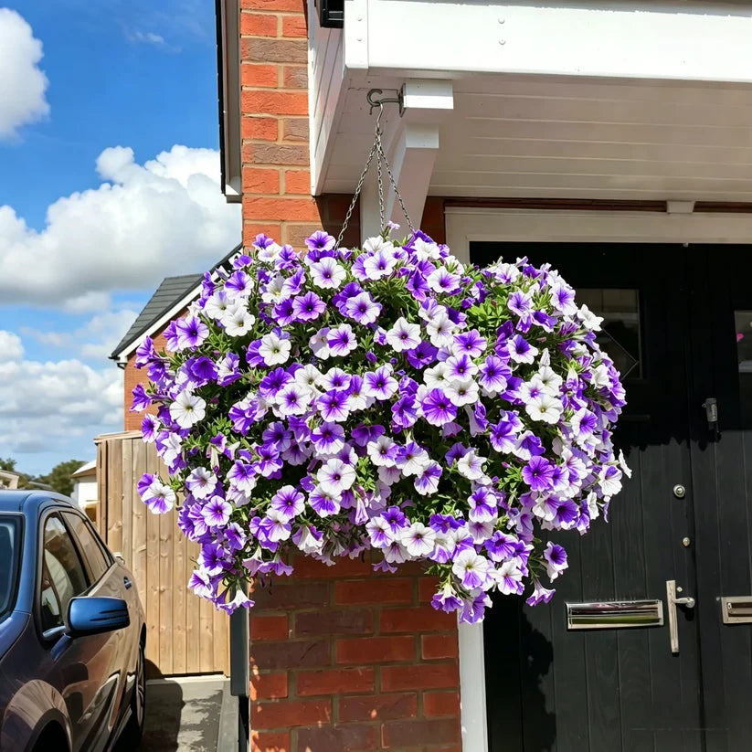 ✨Bring Lasting Color Home with Lifelike UV-Resistant Petunias